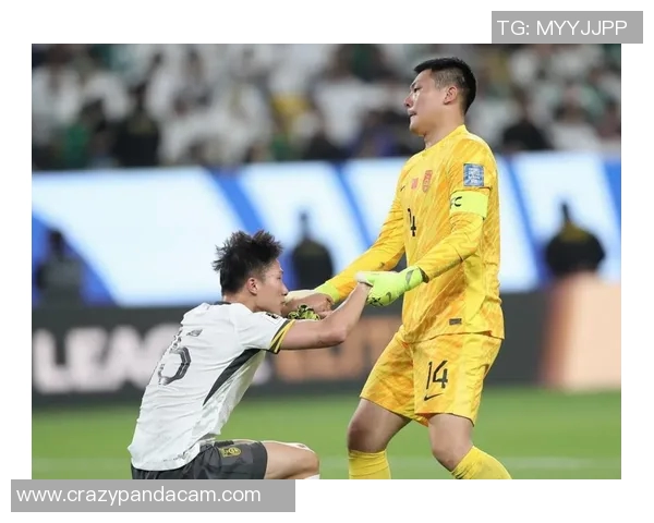 2017年亚洲足球明星的辉煌成就与影响力分析