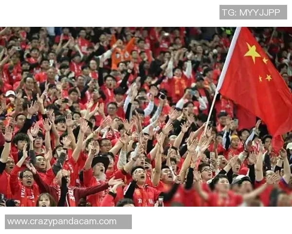 足球明星热议中国球迷的热情与支持对足球发展的重要影响